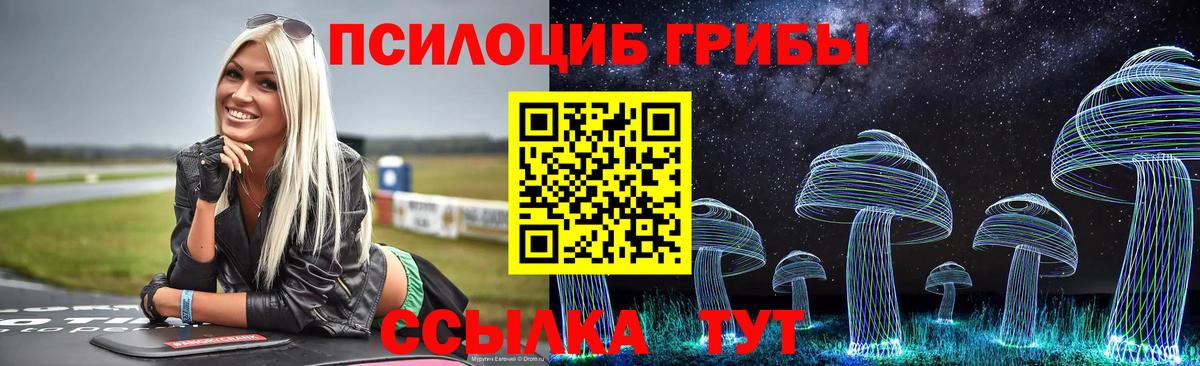 Псилоцибиновые грибы Magic Shrooms  Вход с VPN  Сорочинск 