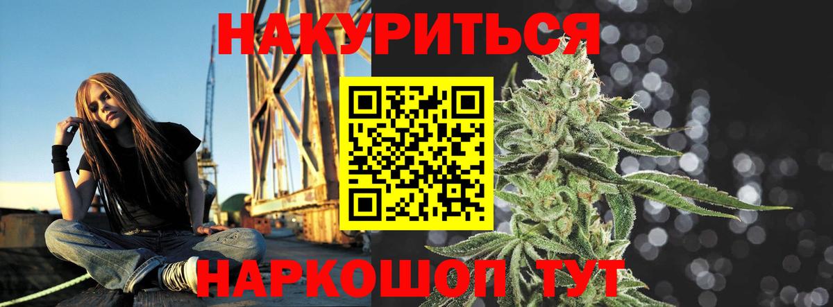 Каннабис сатива Сорочинск